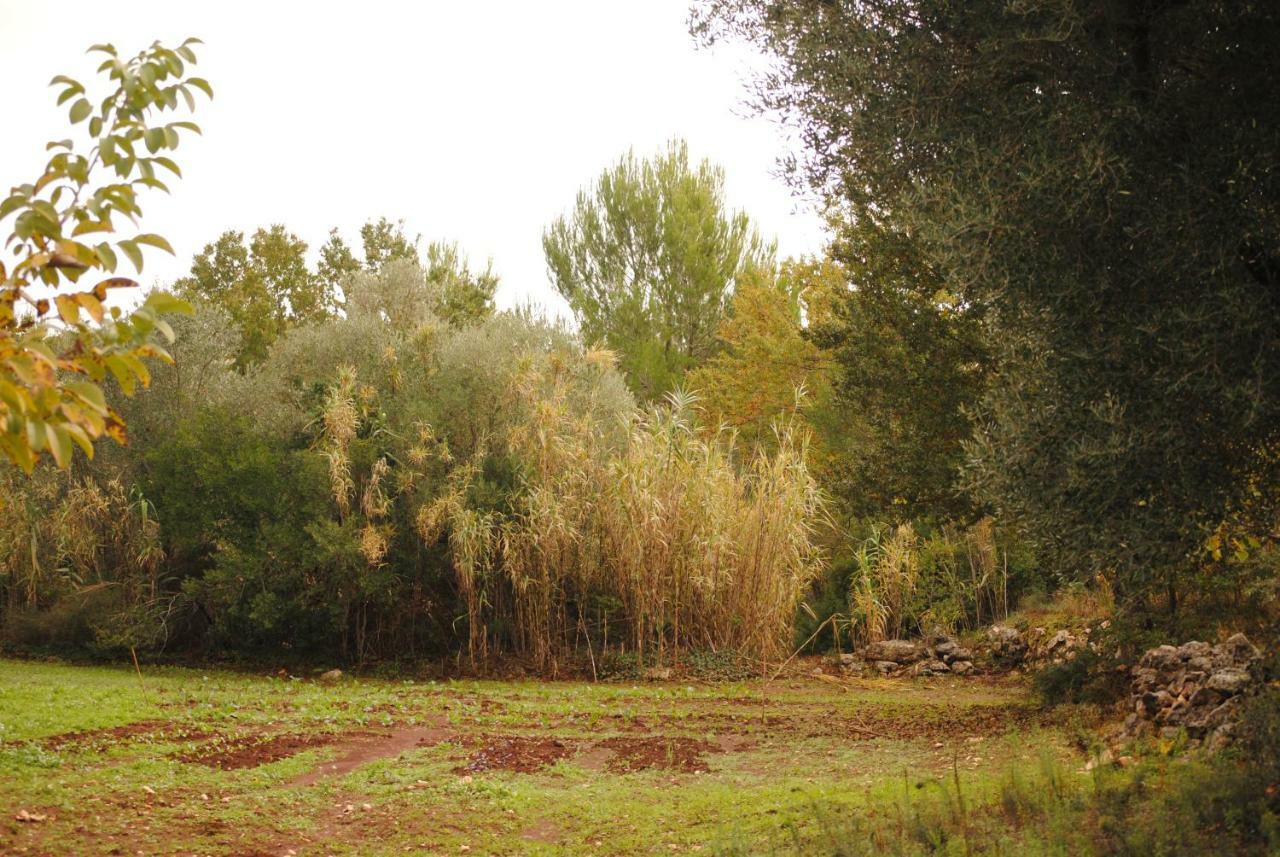 Bed and Breakfast Il Giardino Di Viola à Ceglie Messapica Extérieur photo