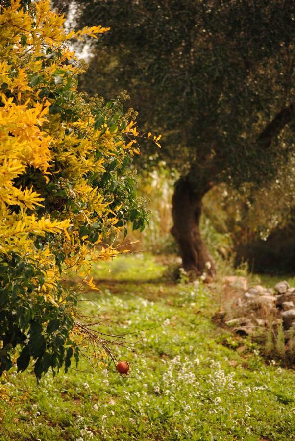 Bed and Breakfast Il Giardino Di Viola à Ceglie Messapica Extérieur photo