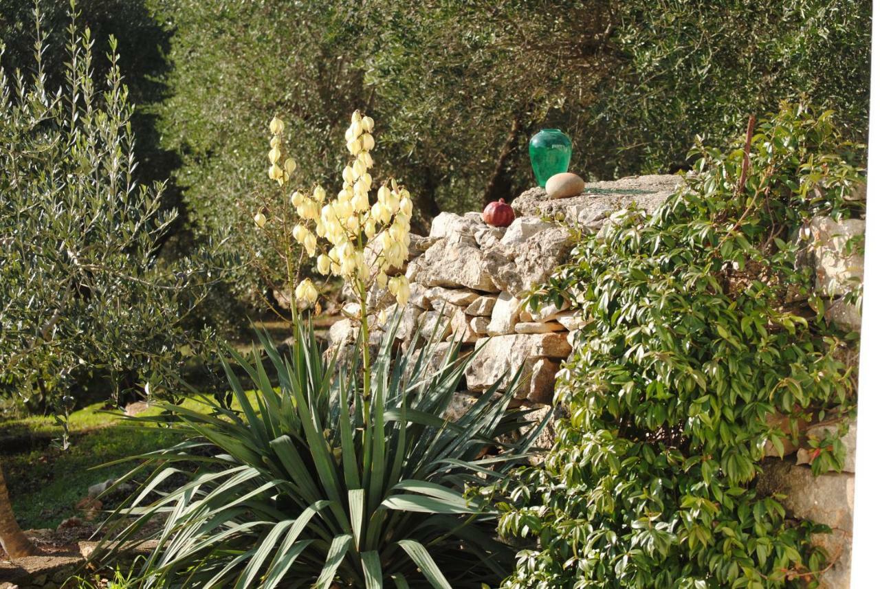 Bed and Breakfast Il Giardino Di Viola à Ceglie Messapica Extérieur photo