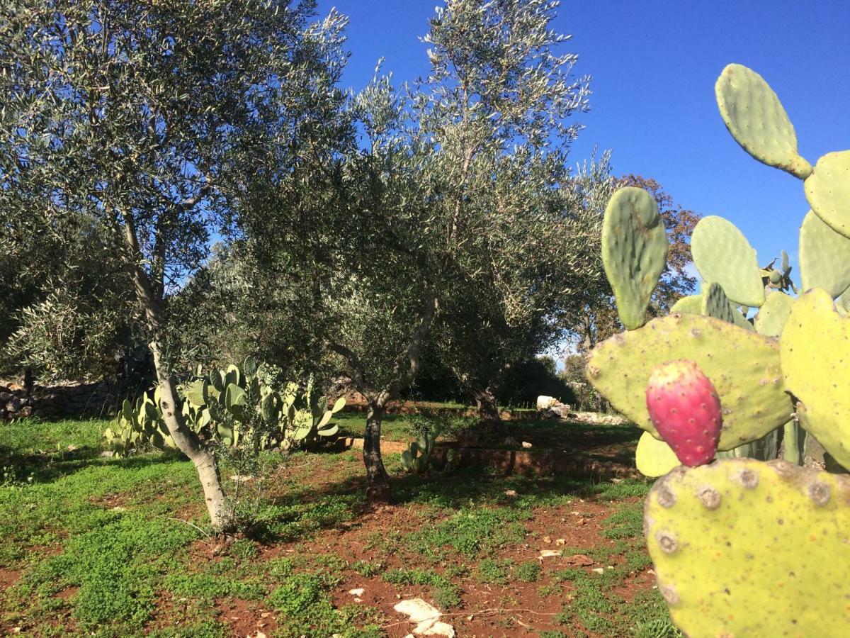 Bed and Breakfast Il Giardino Di Viola à Ceglie Messapica Extérieur photo