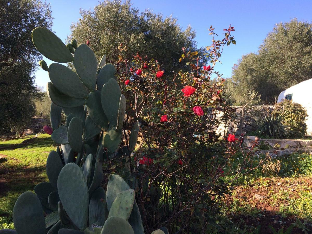 Bed and Breakfast Il Giardino Di Viola à Ceglie Messapica Extérieur photo